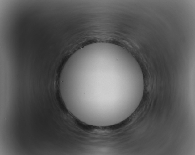 X0000089890515200706281113