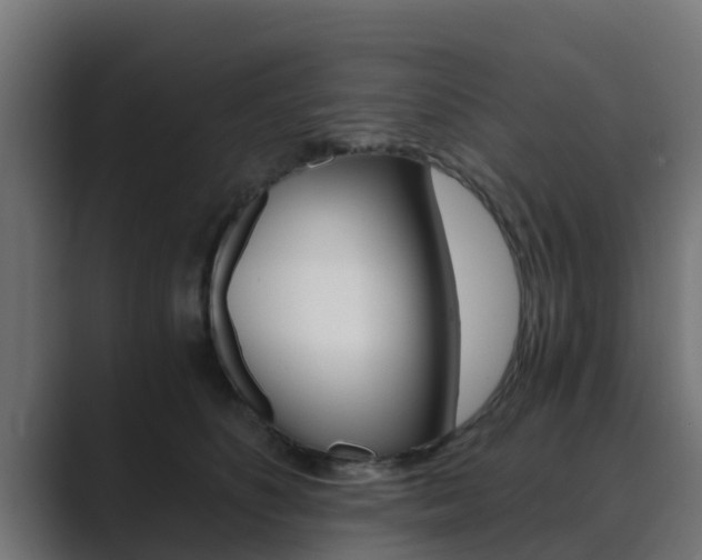 X0000089890516200706281113