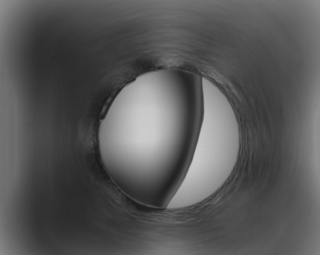 X0000089890517200706281113