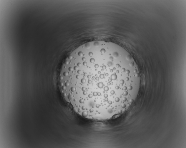 X0000089890519200706281113