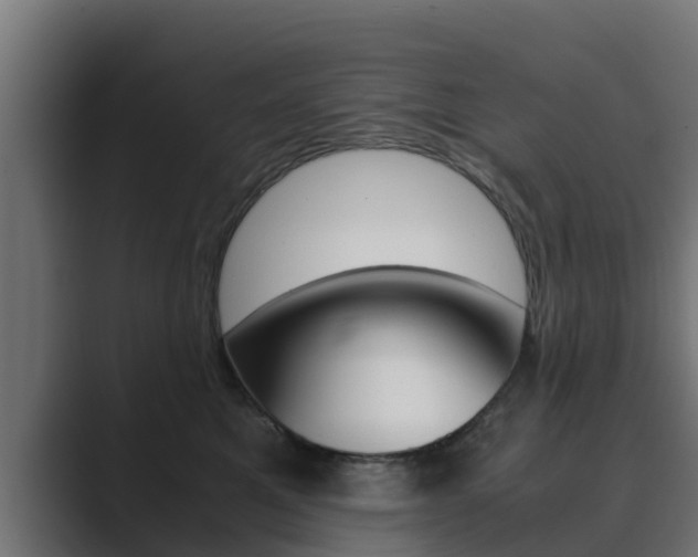 X0000089890521200706281113