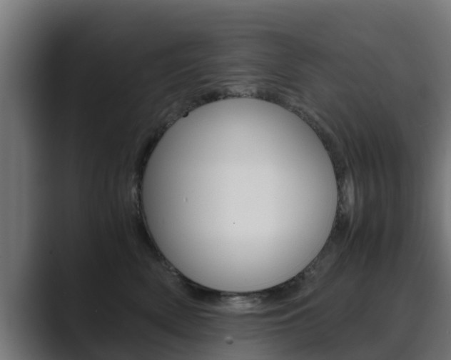 X0000089890522200706281113