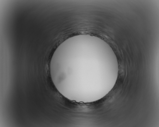 X0000089890523200706281113