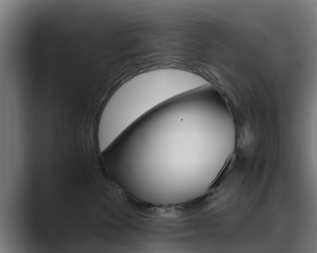 X0000089890524200706281113