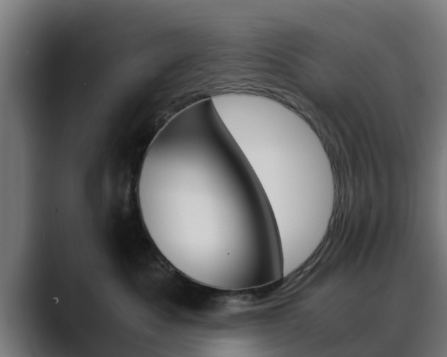 X0000089890525200706281113