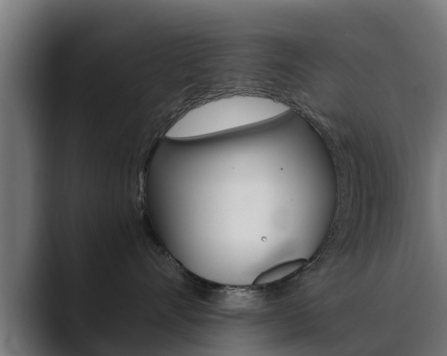 X0000089890528200706281113