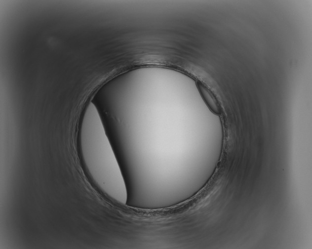 X0000089890529200706281112