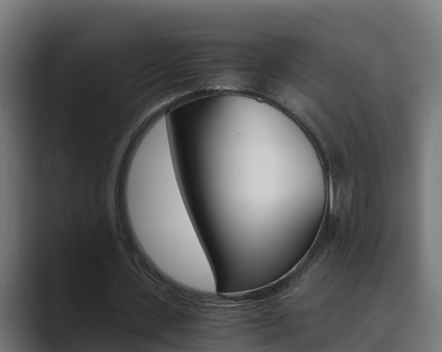 X0000089890531200706281112