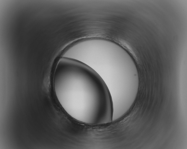 X0000089890532200706281112