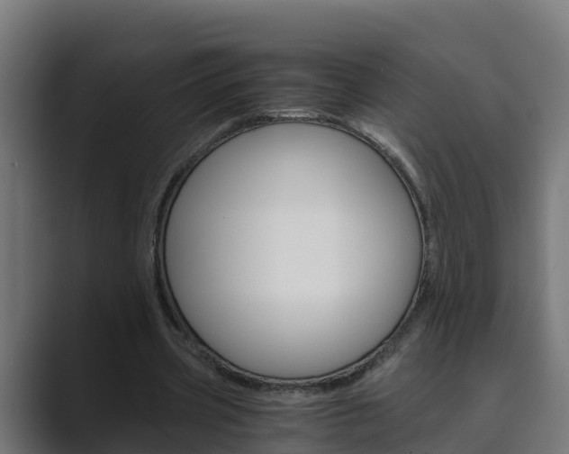 X0000089890533200706281112