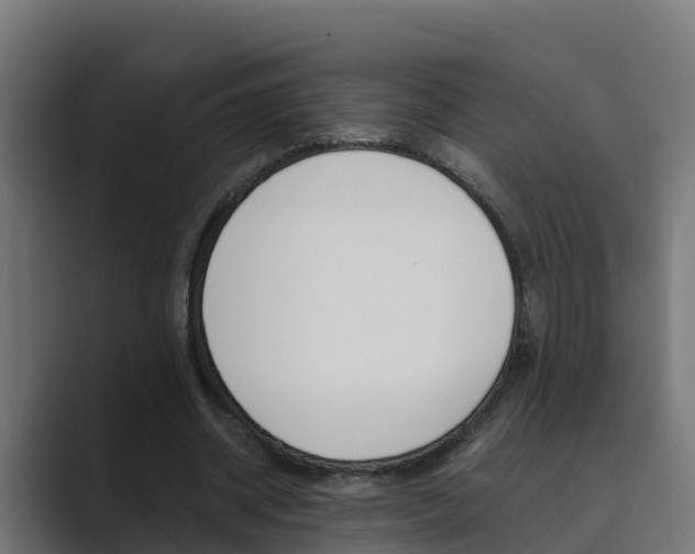 X0000089890534200706281112