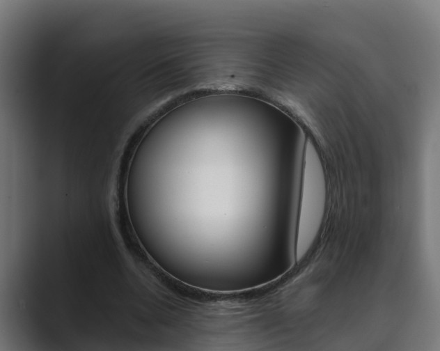 X0000089890536200706281112