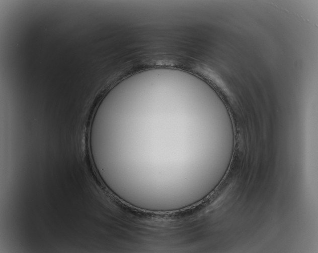 X0000089890537200706281112
