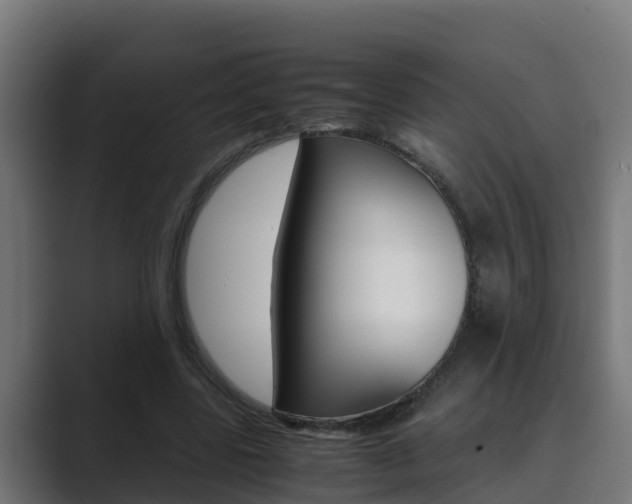 X0000089890539200706281112