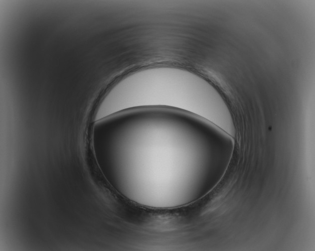 X0000089890540200706281112