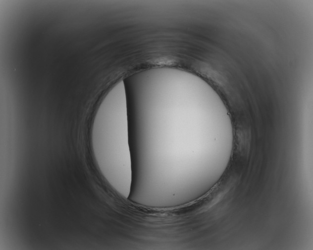 X0000089890541200706281112