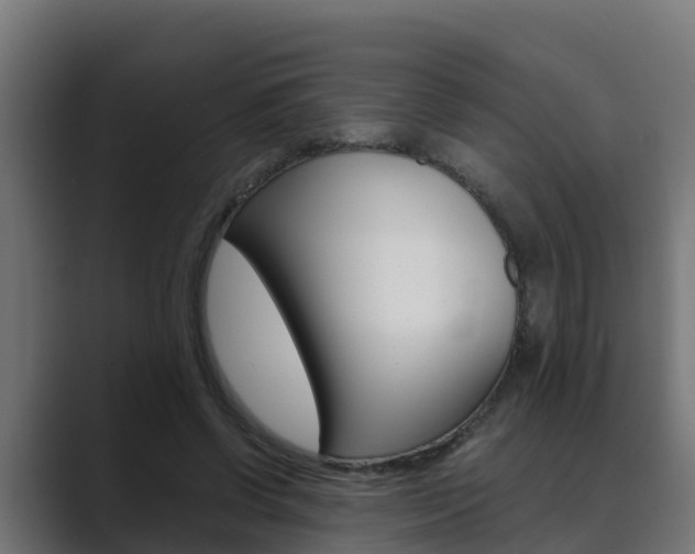 X0000089890542200706281112