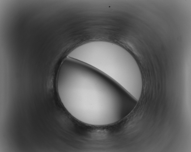 X0000089890543200706281112