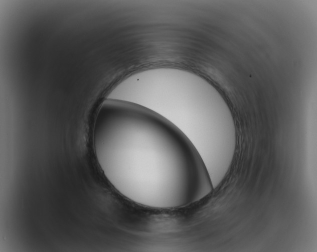 X0000089890544200706281112