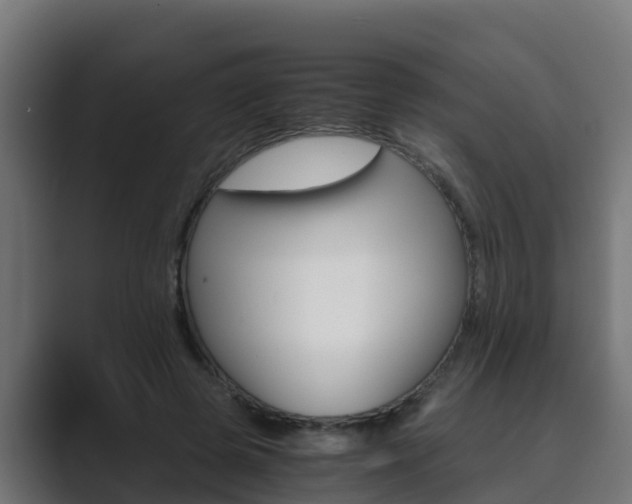 X0000089890545200706281112