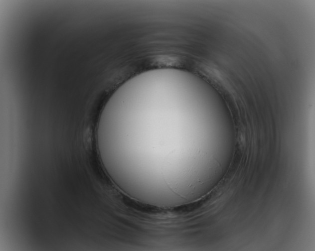 X0000089890551200706281112