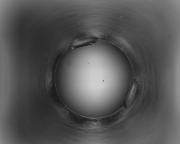 X0000089890552200706281112
