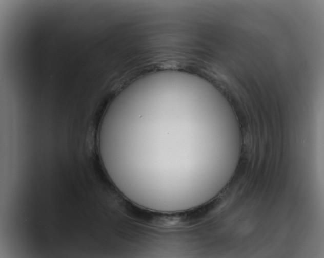 X0000089890554200706281112