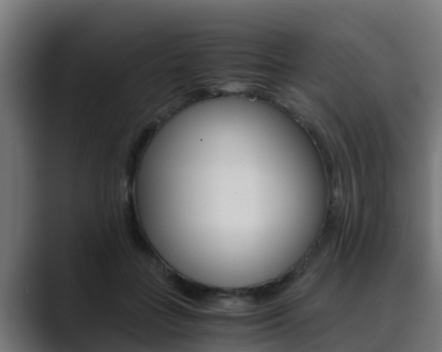 X0000089890555200706281112