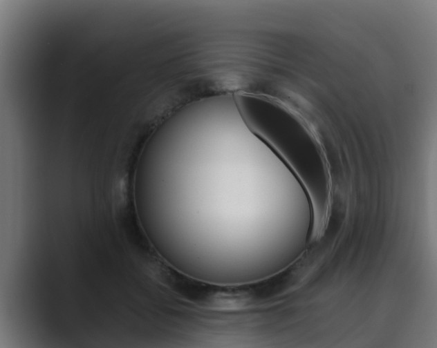 X0000089890556200706281113
