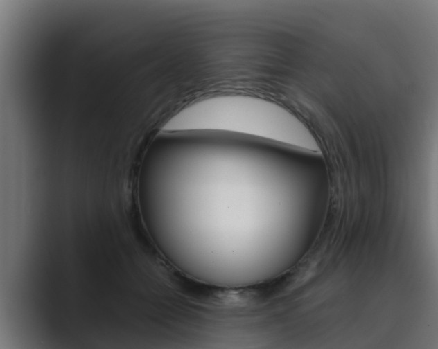 X0000089890558200706281113