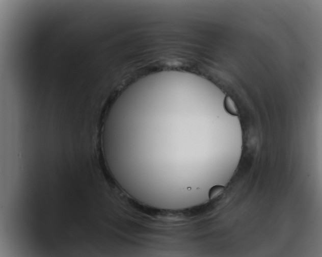 X0000089890559200706281113
