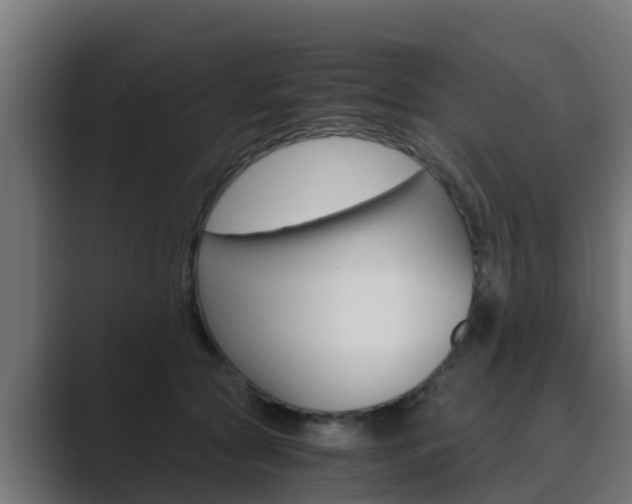 X0000089890561200706281113