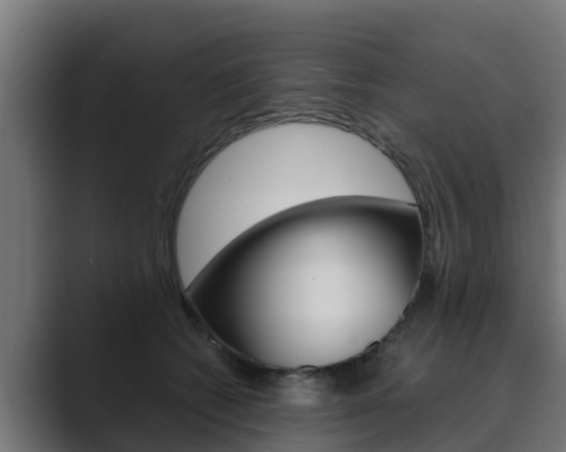 X0000089890562200706281113