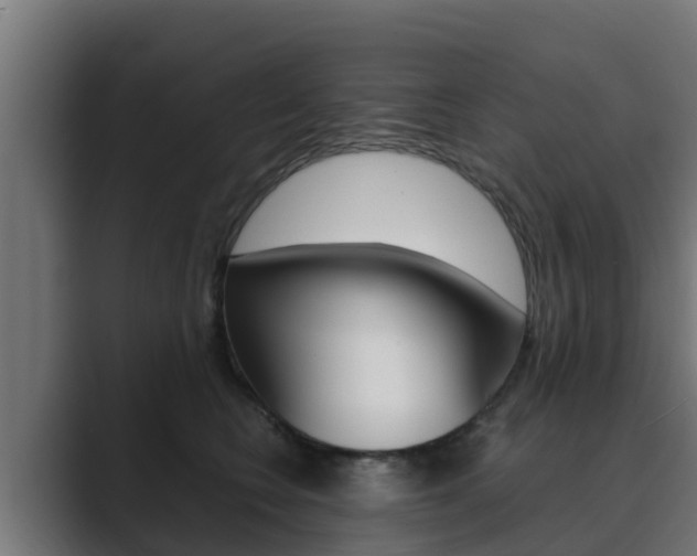 X0000089890566200706281113