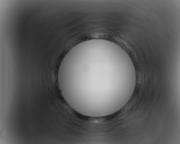 X0000089890569200706281113
