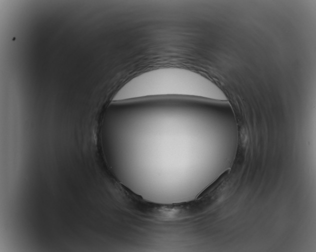 X0000089890570200706281113