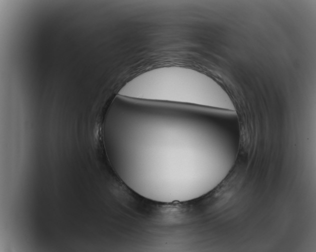 X0000089890574200706281113