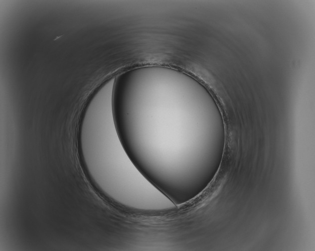 X0000089890577200706281112