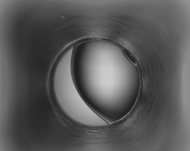 X0000089890580200706281112