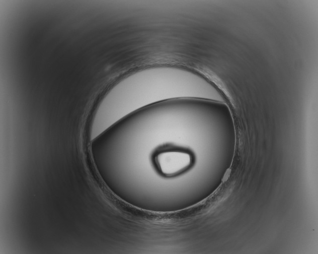 X0000089890581200706281112
