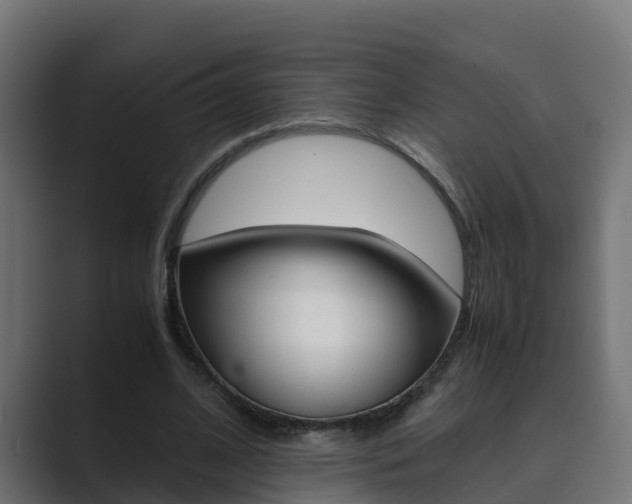 X0000089890584200706281112