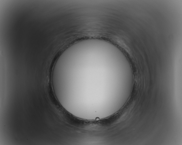 X0000089890593200706281112