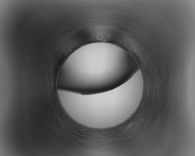 X0000089890595200706281112
