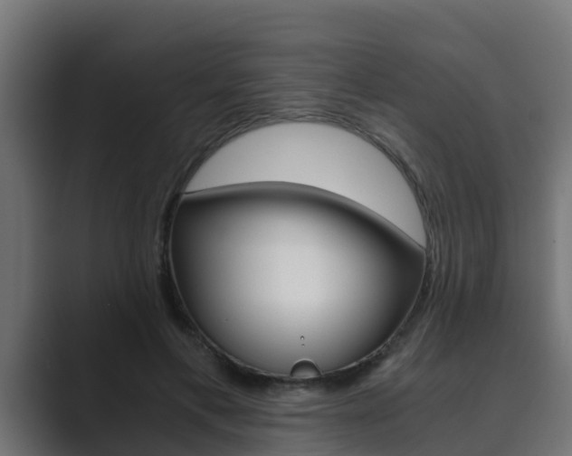 X0000089890597200706281112