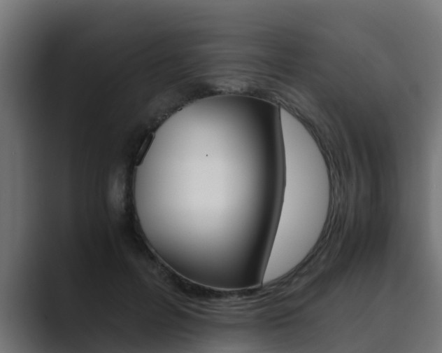 X0000089890600200706281112