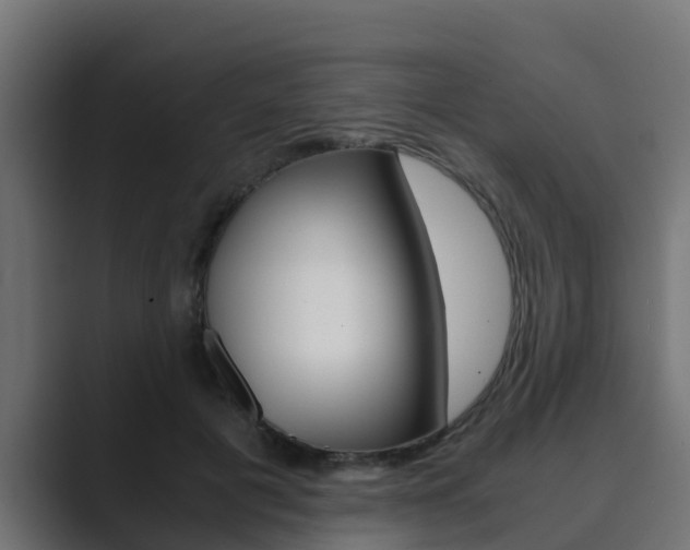 X0000089890601200706281112