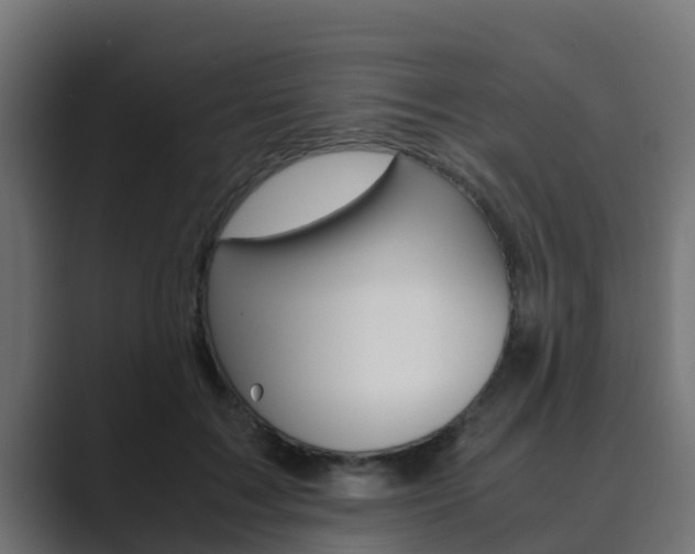 X0000089890603200706281112