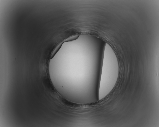 X0000089890609200706281112