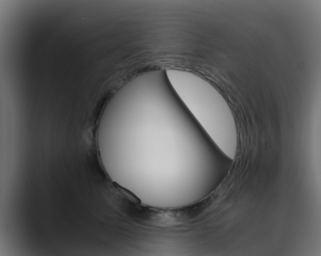 X0000089890611200706281112