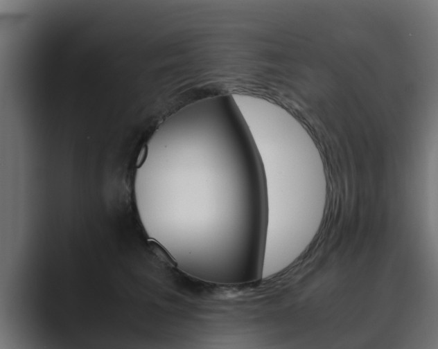 X0000089890613200706281112